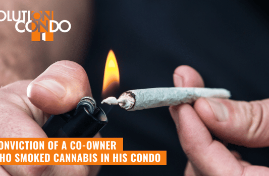 Conviction of a co-owner who smoked cannabis in his condo